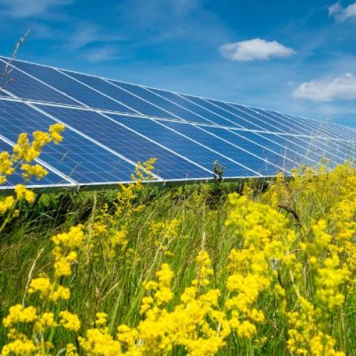Green Energy Revolution
